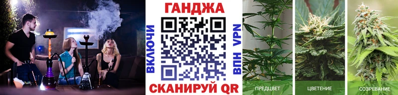 Где купить наркотики Жуковский А ПВП  АМФ  Мефедрон  Бошки Шишки  ГАШИШ  Cocaine 