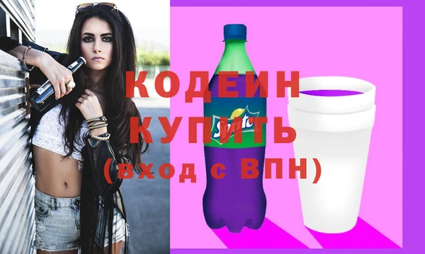 прущие грибы Няндома