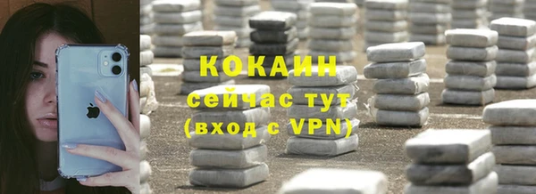 прущие грибы Няндома