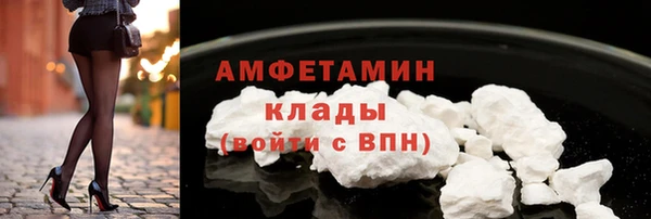 прущие грибы Няндома