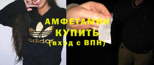 прущие грибы Няндома