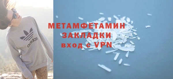 прущие грибы Няндома
