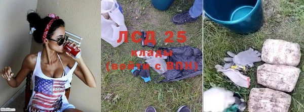 прущие грибы Няндома