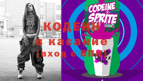 прущие грибы Няндома