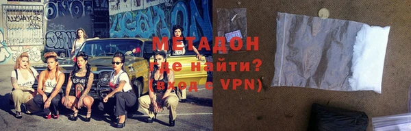 прущие грибы Няндома
