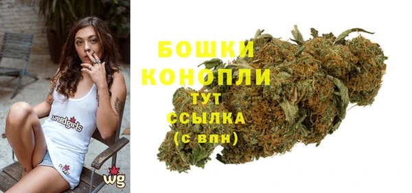 прущие грибы Няндома