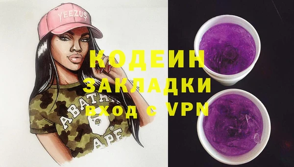 прущие грибы Няндома